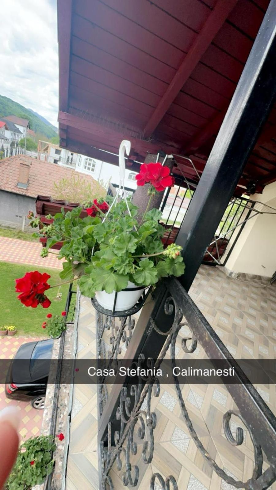 Casa Stefania 1 Apartment Calimanesti Exterior photo